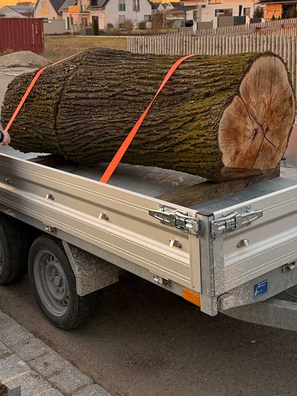 Vom Baum zum Schneidebrett: So entsteht ein Massivholzbrett
