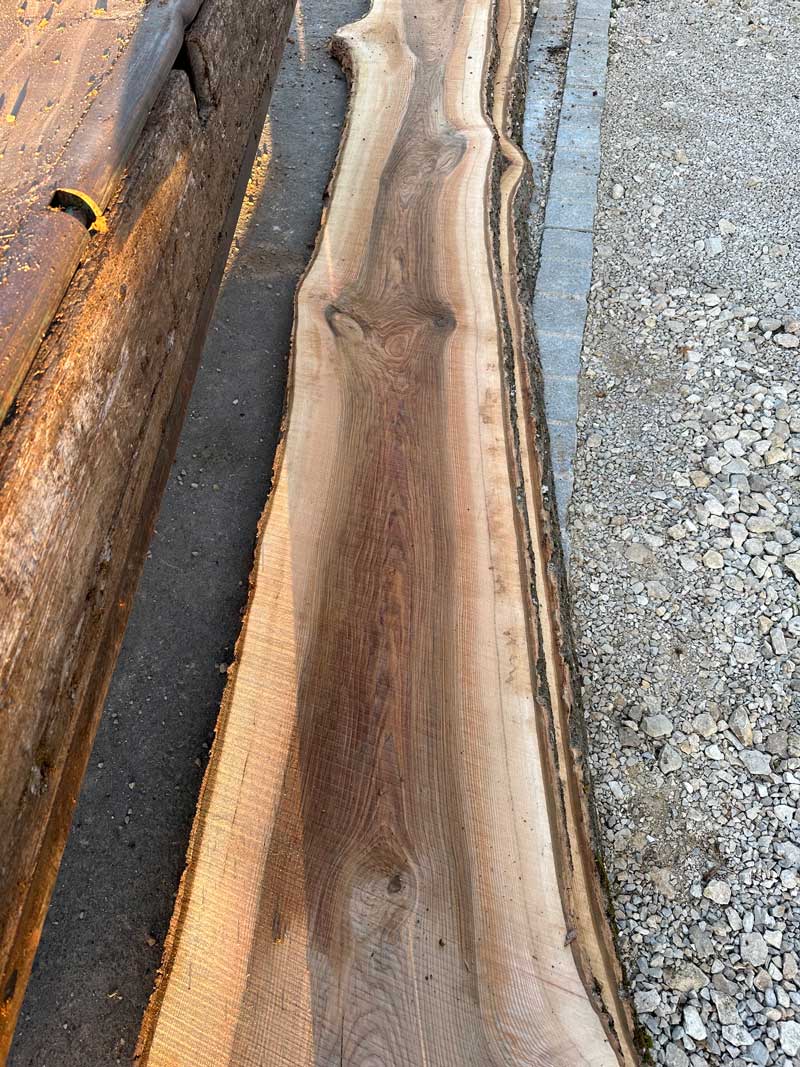 Holzfeuchte verstehen