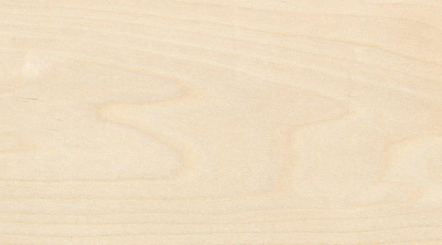 Holzart Birke nature crafts