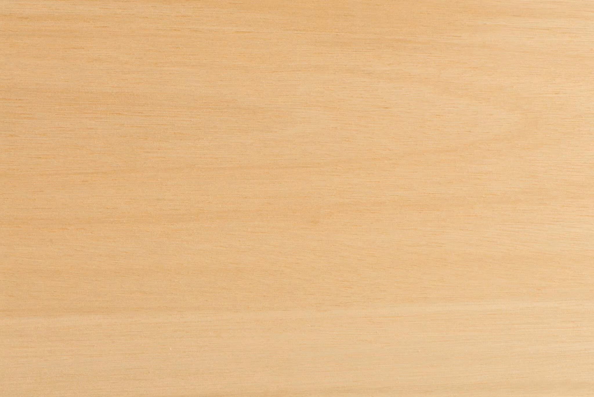 Holzart Buche nature crafts